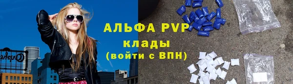 гидра Шали