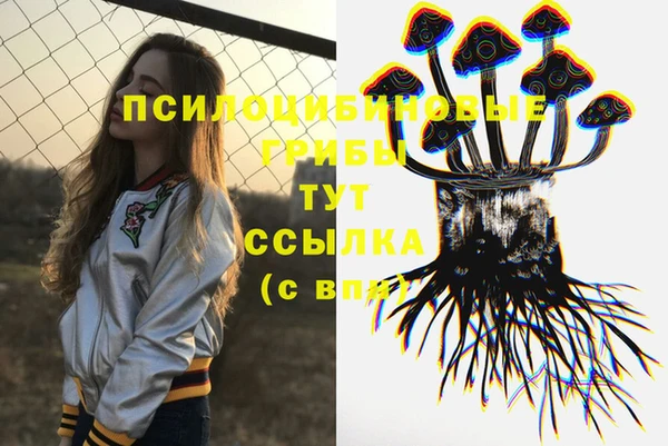 гидра Щигры