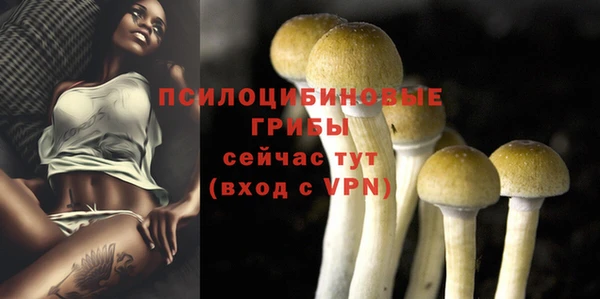 гидра Шали