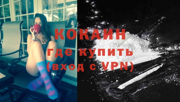 гидра Шали