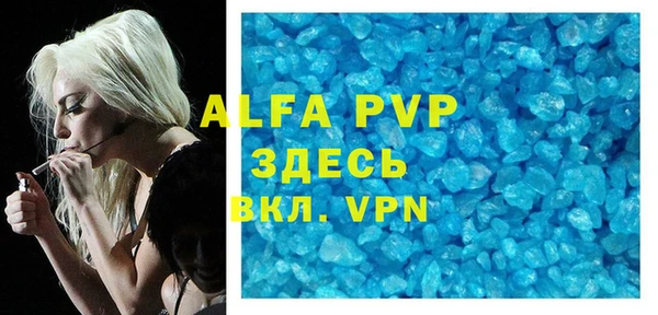 гидра Шали