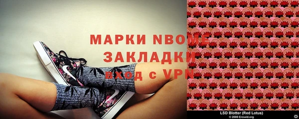 гидра Щигры