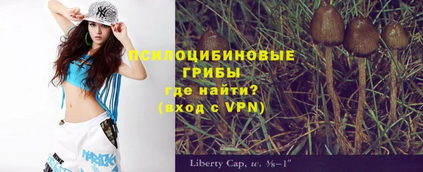 spice Шарыпово