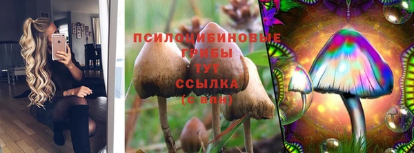 spice Шарыпово