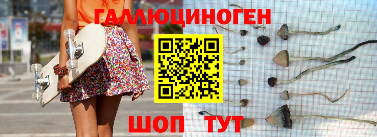 Шахты  Галлюциногенные грибы мухоморы  Вход с VPN 