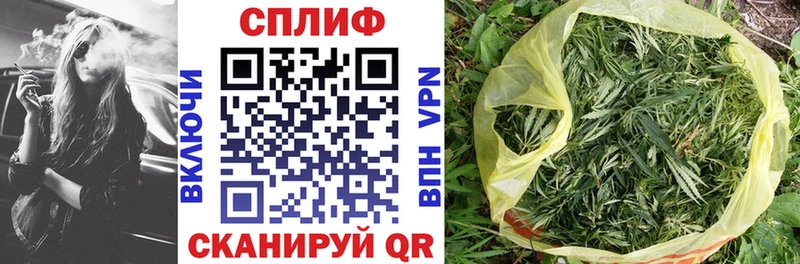 Бошки марихуана семена  Шахты 